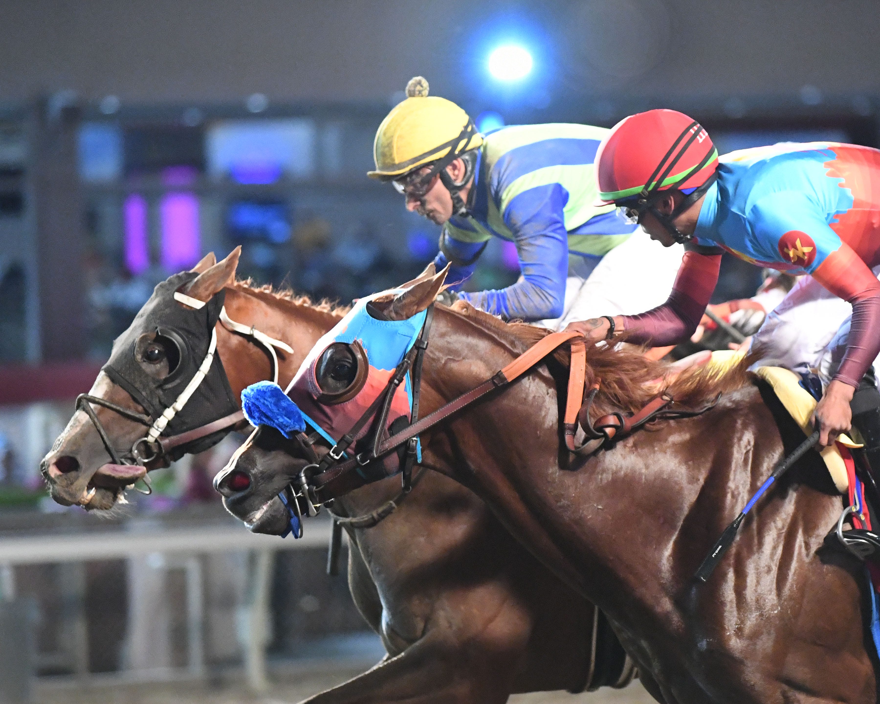 How Did He Do That (98) survives dead heat, stewards' inquiry in Iowa